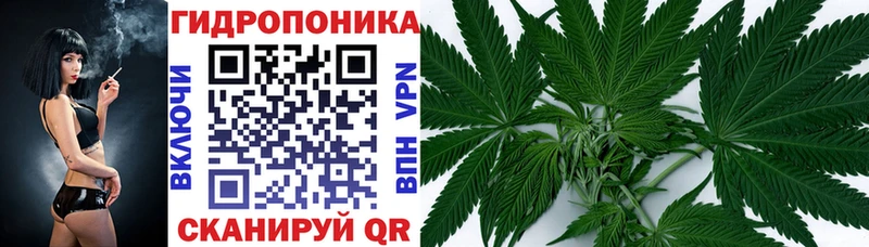 Где купить наркотики Севск СОЛЬ  Конопля  МЕФ  Бутират  ГАШИШ 