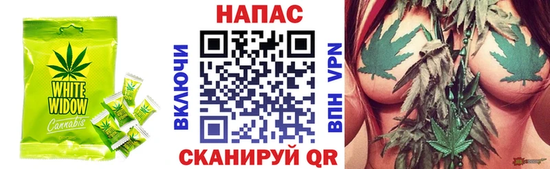 MEGA ТОР  Севск  Canna-Cookies конопля 
