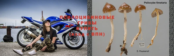 ешки Баксан