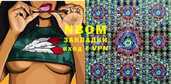 прущие грибы Беломорск