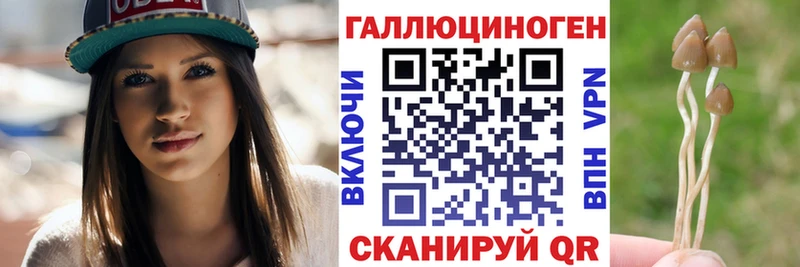 Галлюциногенные грибы Psilocybine cubensis  нарко площадка как зайти  Севск  купить наркоту 